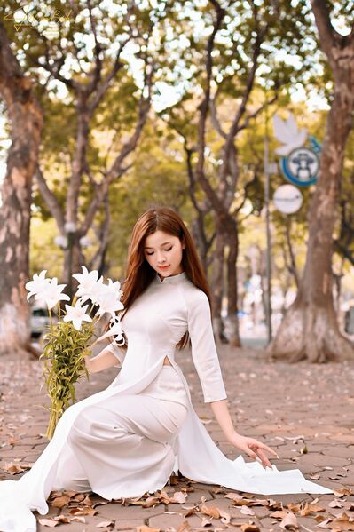 339132032 170827089162946 8808280164226560518 n 339132032 170827089162946 8808280164226560518 n