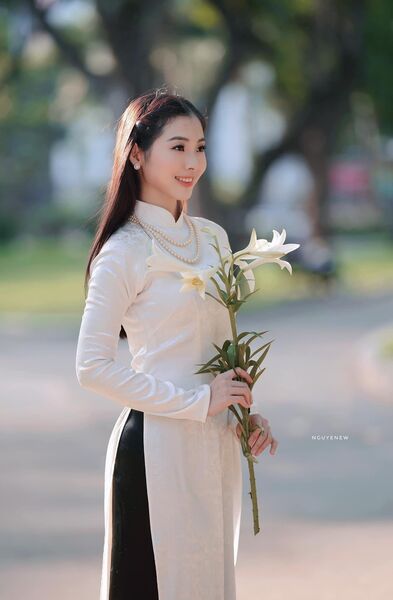 338667164 161069393533048 3053603522652810950 n 338667164 161069393533048 3053603522652810950 n