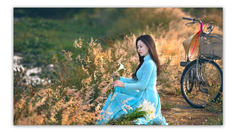 338166531 3395678314080529 155741785752337776 n 338166531 3395678314080529 155741785752337776 n