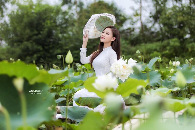 337555959 1375175739691554 3488034160394403876 n 337555959 1375175739691554 3488034160394403876 n