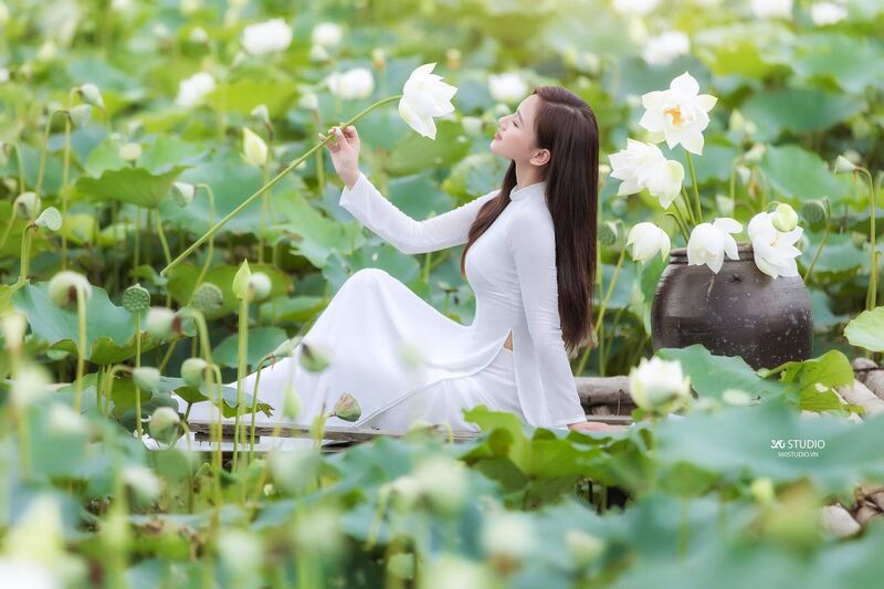 338172373 878309216595138 8756346047295886145 n 338172373 878309216595138 8756346047295886145 n