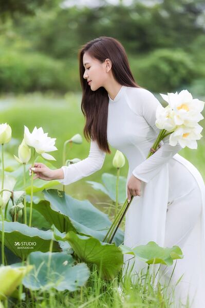 337851847 1310621819487837 2113011605123319758 n 337851847 1310621819487837 2113011605123319758 n