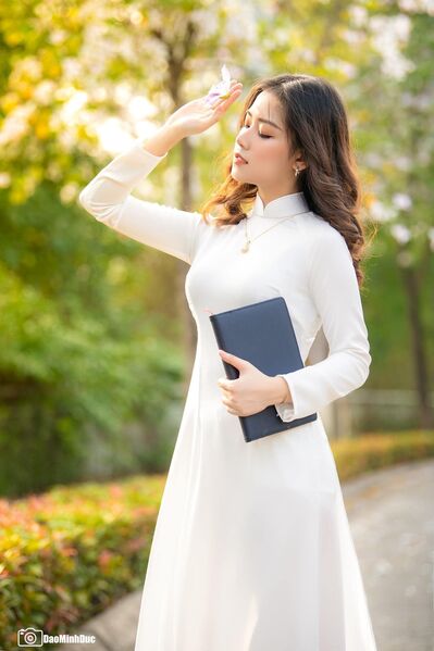 336883881 917255569477921 1807471335338295312 n 1 336883881 917255569477921 1807471335338295312 n 1