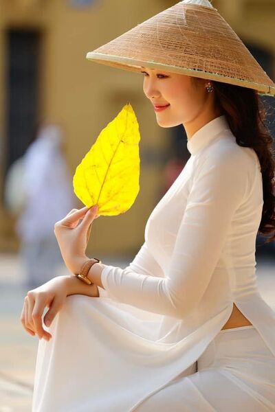 336059936 622927673035561 3534827459235419050 n 336059936 622927673035561 3534827459235419050 n