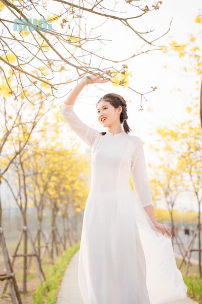 330372927 897736314899044 8041889266337157721 n 330372927 897736314899044 8041889266337157721 n