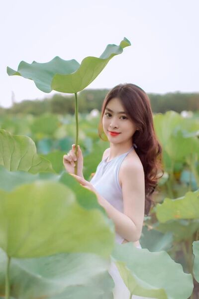 327125138 545151887434747 8638666082270459850 n 327125138 545151887434747 8638666082270459850 n