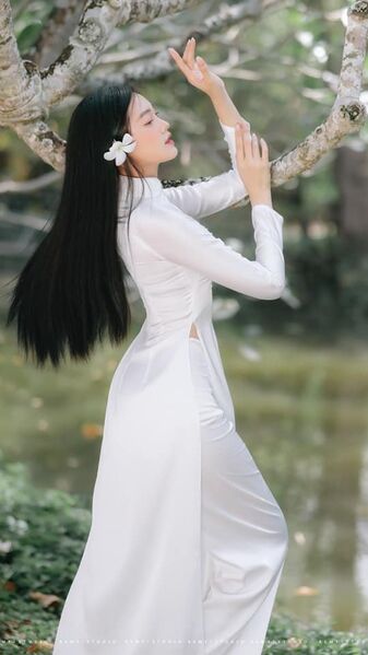 285011013 5769993613015181 3322023962991894321 n 285011013 5769993613015181 3322023962991894321 n