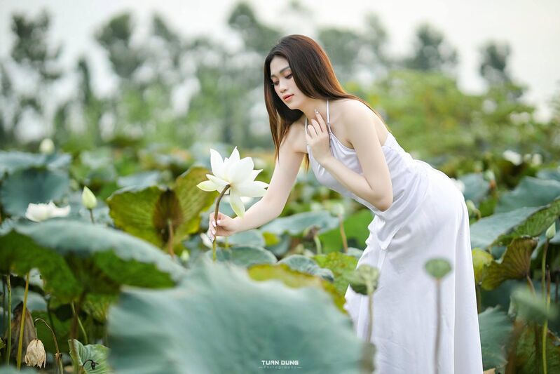 345655796 1259524234954412 7034062302042424258 n