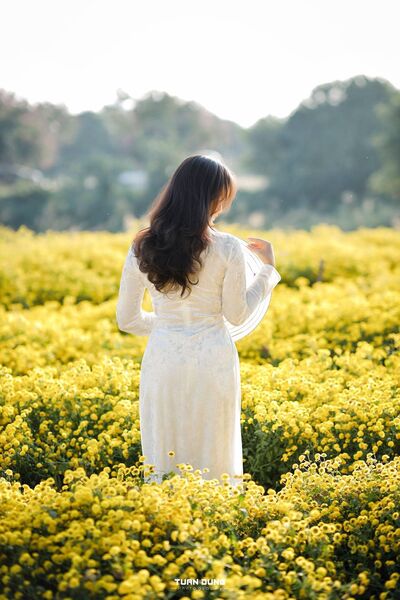 347138003 635781941292107 4518631955559208881 n 347138003 635781941292107 4518631955559208881 n