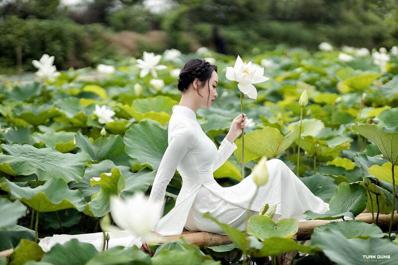 345648787 3576229132646880 1685888863569438170 n