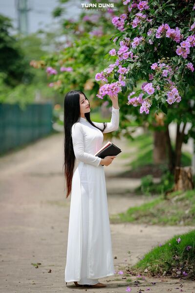 345638862 772498047716521 742752614651927115 n 345638862 772498047716521 742752614651927115 n