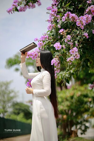 345642262 909068550159495 711836637459944465 n 345642262 909068550159495 711836637459944465 n