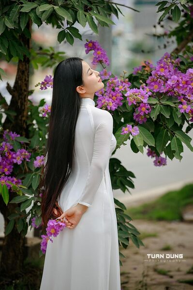 345639263 1943835295980318 2568305063411497980 n 345639263 1943835295980318 2568305063411497980 n