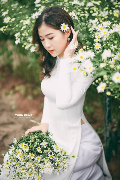 347246484 276707938242022 8236490468105594138 n 347246484 276707938242022 8236490468105594138 n