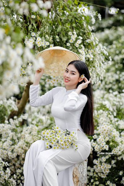 346052547 622486599521413 1261584196520294732 n 346052547 622486599521413 1261584196520294732 n