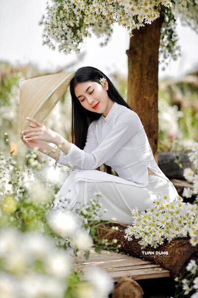 346063447 3311399309170456 190718631838421295 n 346063447 3311399309170456 190718631838421295 n