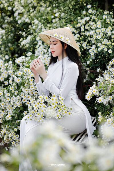 346043144 264717869291507 1778990075469868450 n 346043144 264717869291507 1778990075469868450 n