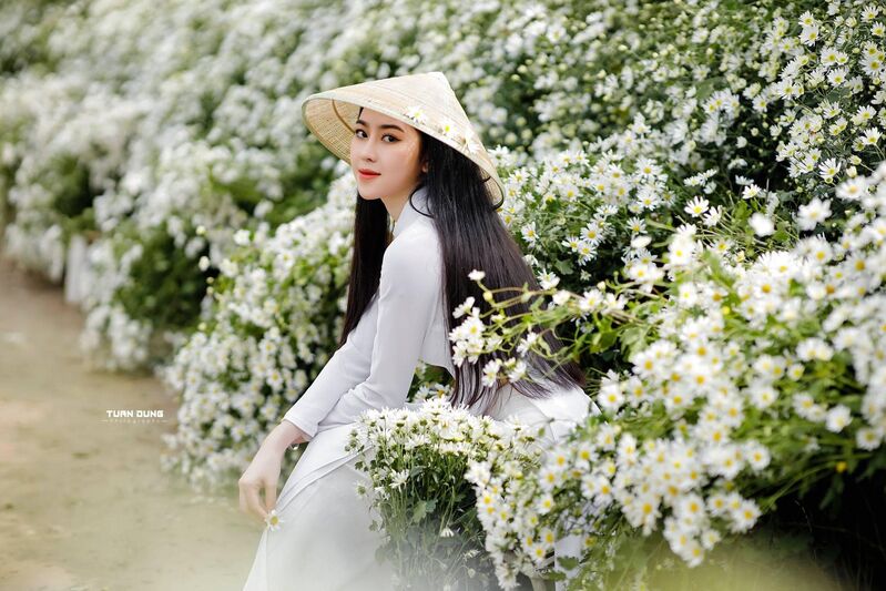 347127134 3728521997427269 3700025898621454217 n 347127134 3728521997427269 3700025898621454217 n