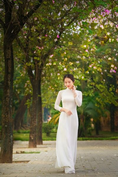 345625157 729604088939054 1746828097925215976 n 345625157 729604088939054 1746828097925215976 n