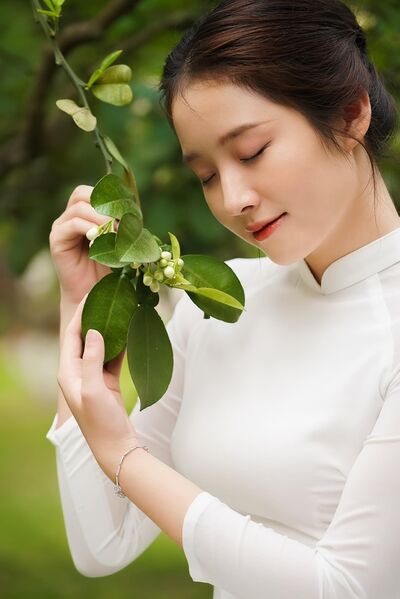 345641100 761577272077363 4785403848432136411 n 345641100 761577272077363 4785403848432136411 n