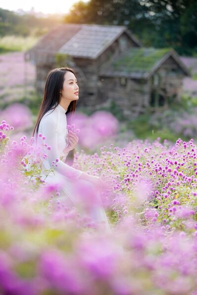 345602973 259803319946696 3481924861799256602 n 345602973 259803319946696 3481924861799256602 n