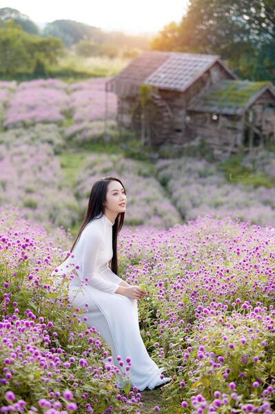 345638306 798009581663599 6520201990600115083 n 345638306 798009581663599 6520201990600115083 n