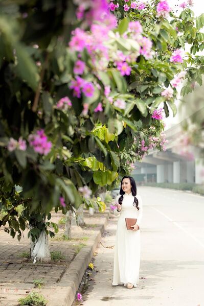 345584546 1175284026481774 8671958823820274374 n 345584546 1175284026481774 8671958823820274374 n