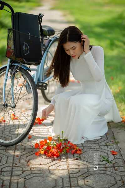 334177792 1370337960486509 5692769253188411848 n 334177792 1370337960486509 5692769253188411848 n