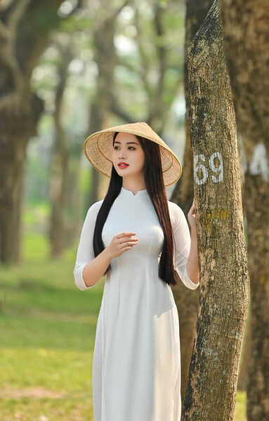 334505687 738387967895647 4830604063154383317 n 334505687 738387967895647 4830604063154383317 n