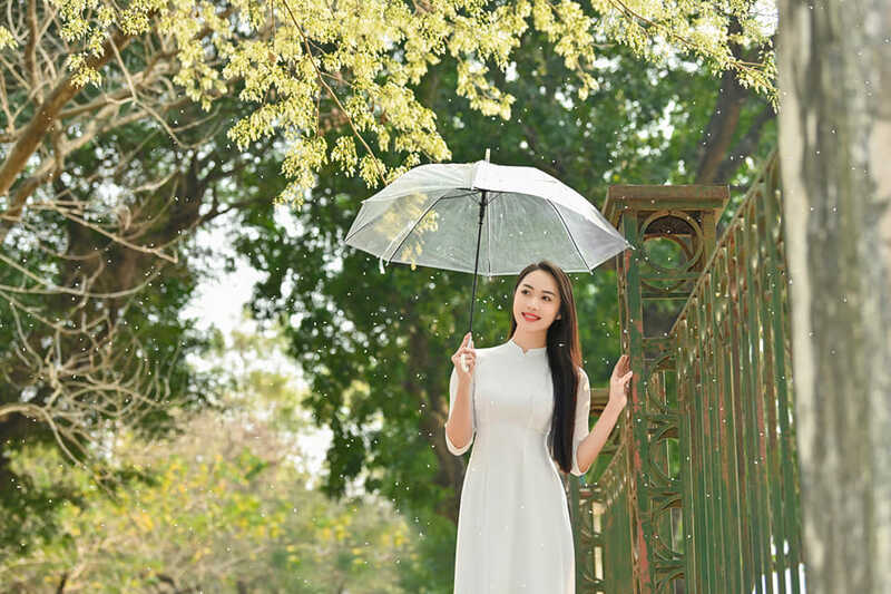 334556126 1293616017886519 7580788635411189667 n 334556126 1293616017886519 7580788635411189667 n