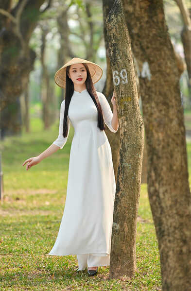 334588747 3396303053992773 7252646367075162643 n 334588747 3396303053992773 7252646367075162643 n