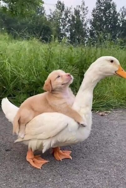 BB3F52B7 F89B 4CB6 AA2E A8E9CD4E264C BB3F52B7 F89B 4CB6 AA2E A8E9CD4E264C