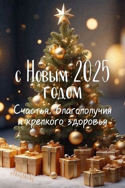 IMG 20250101 WA0008