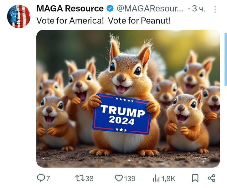 IMG 20241105 145053 448 IMG 20241105 145053 448