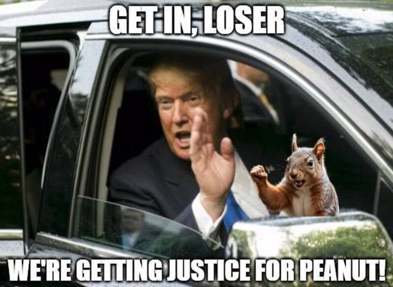 IMG 20241105 145053 319 IMG 20241105 145053 319