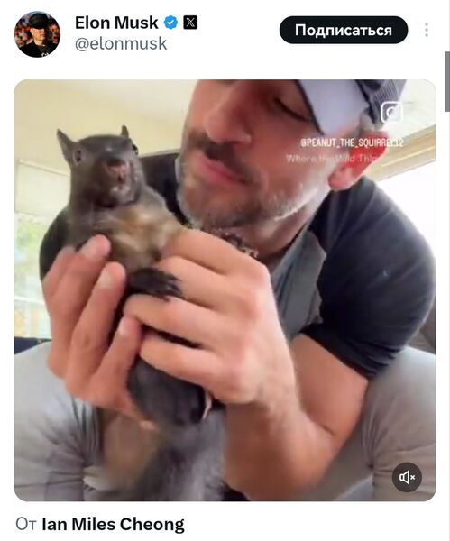 IMG 20241105 145053 524 IMG 20241105 145053 524