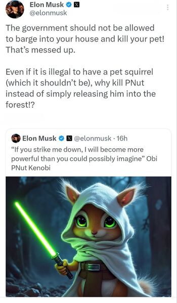 IMG 20241105 145053 445 IMG 20241105 145053 445