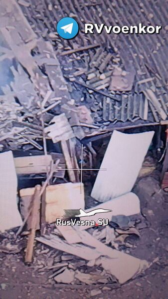 photo 2 2025 01 10 10 04 03