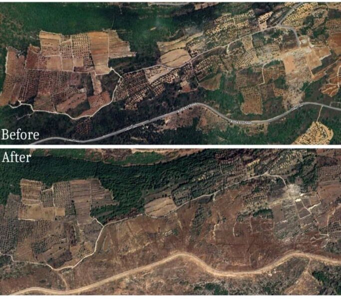 photo 1 2025 03 03 16 08 38