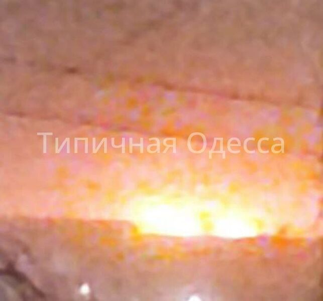 photo 1 2025 03 11 06 24 17