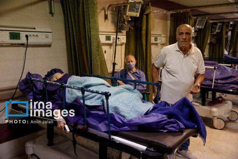 photo 4 2025 06 13 15 34 12