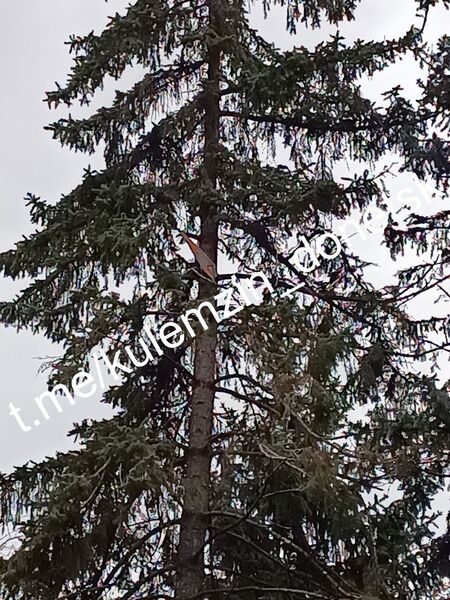 photo 3 2025 10 11 22 58 16