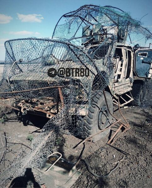 photo 2 2025 11 05 14 54 54