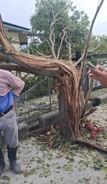 photo 1 2025 12 06 08 16 03