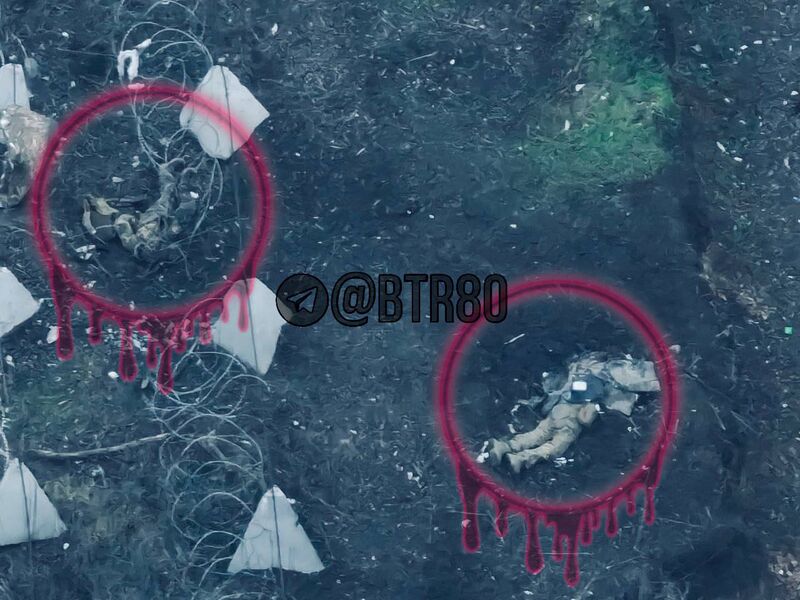 photo 3 2025 12 08 20 02 44