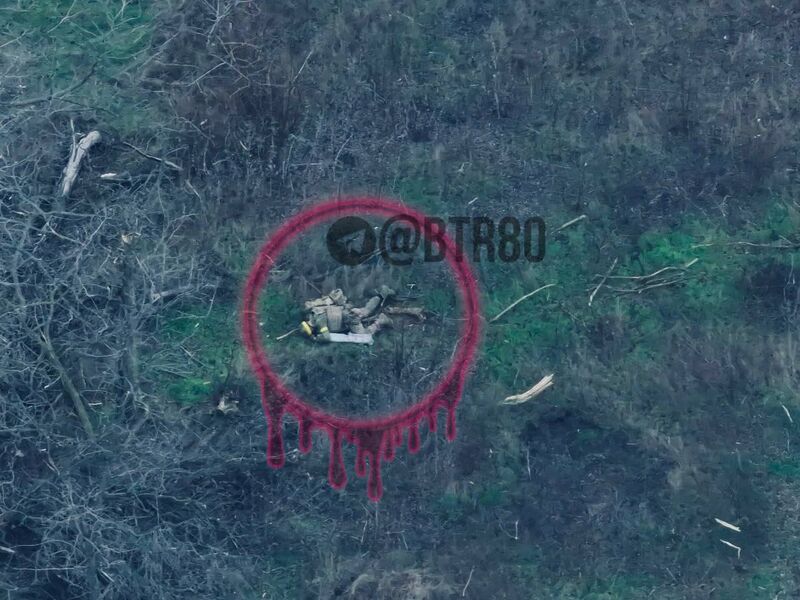 photo 1 2025 12 08 20 02 44