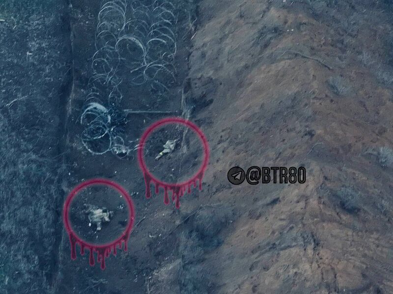 photo 2 2025 12 08 20 02 44