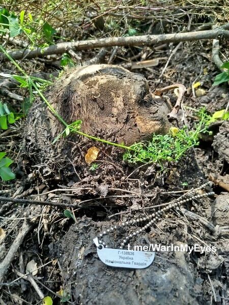 photo 2 2025 12 12 14 14 11