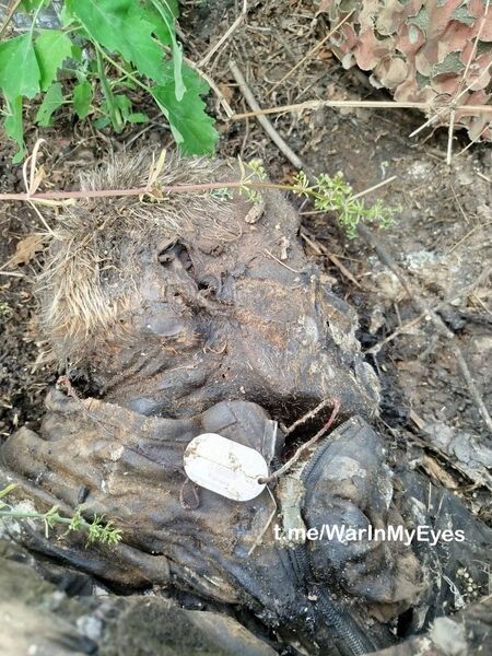 photo 4 2025 12 12 14 14 11