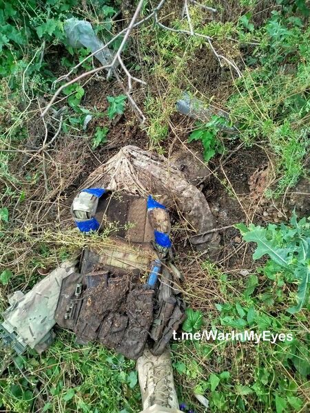 photo 6 2025 12 12 14 14 11